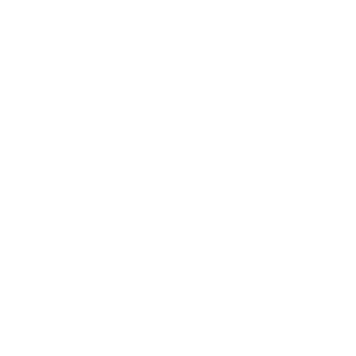 AE Logo light 1