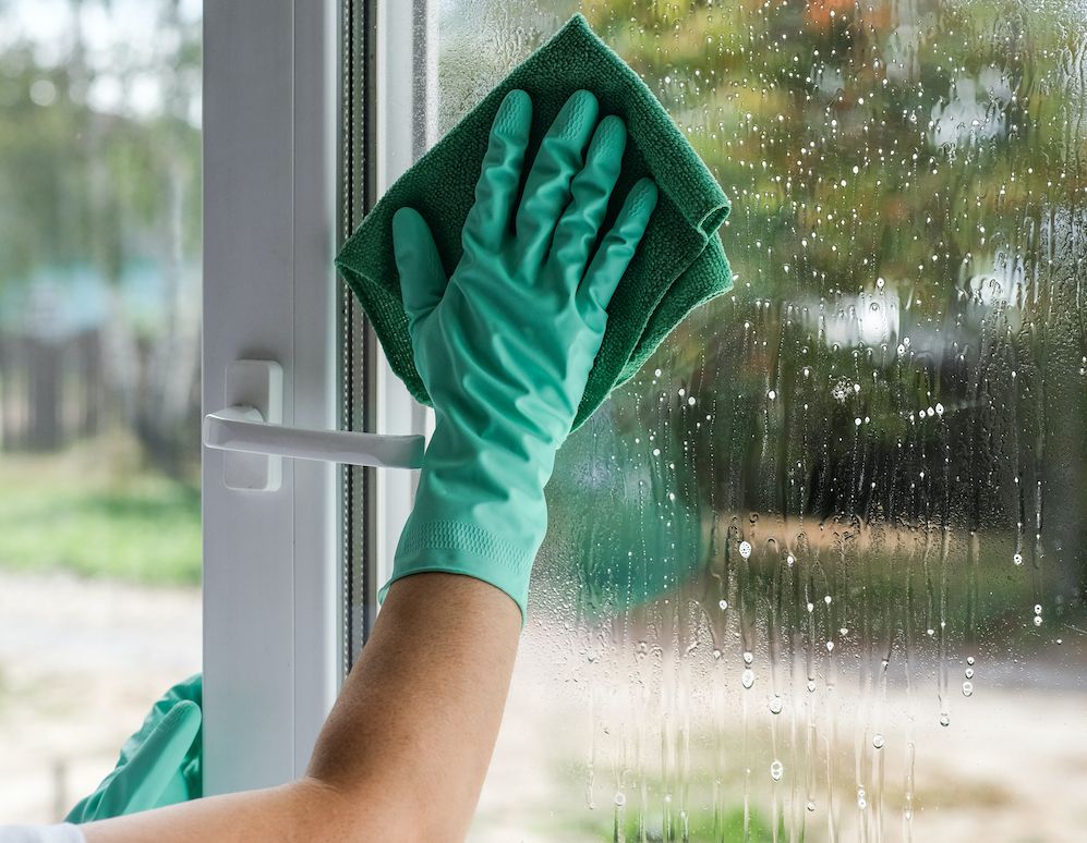 a young woman cleaning window at home general cle 2023 01 16 21 54 51 utc copy 1